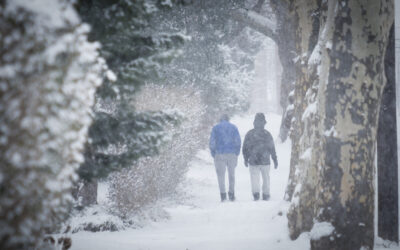 Winter Ecotherapy