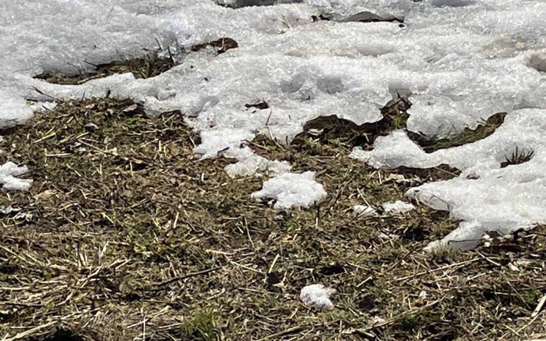 image of ground, half with snow and half with soil